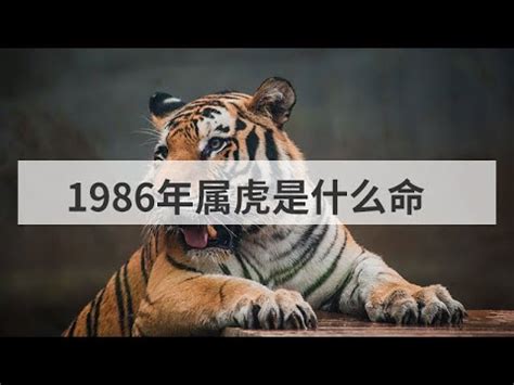 1986 虎 五行|1986年屬虎是什麼命？最全虎命命相批註！